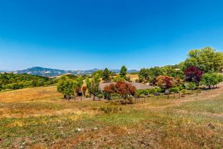 Single Family Residence,  Summit View Ranch road, Santa Rosa, CA 95404 - 66