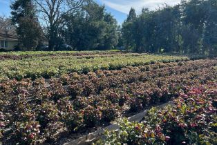 Residential Income,  Bodega avenue, Petaluma, CA 94952 - 52