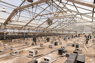 Residential Income,  Bodega avenue, Petaluma, CA 94952 - 39