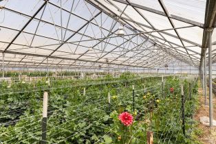 Residential Income,  Bodega avenue, Petaluma, CA 94952 - 35