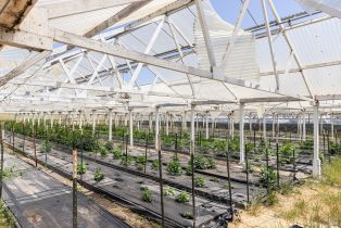 Residential Income,  Bodega avenue, Petaluma, CA 94952 - 41