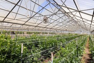 Residential Income,  Bodega avenue, Petaluma, CA 94952 - 36