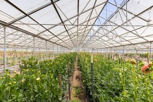 Residential Income,  Bodega avenue, Petaluma, CA 94952 - 31