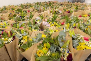 Residential Income,  Bodega avenue, Petaluma, CA 94952 - 24