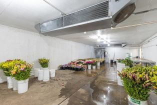 Residential Income,  Bodega avenue, Petaluma, CA 94952 - 26