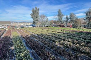 Residential Income,  Bodega avenue, Petaluma, CA 94952 - 53