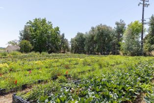 Residential Income,  Bodega avenue, Petaluma, CA 94952 - 42