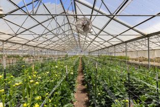 Residential Income,  Bodega avenue, Petaluma, CA 94952 - 34