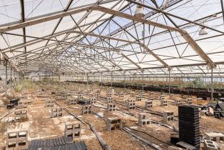 Residential Income,  Bodega avenue, Petaluma, CA 94952 - 38