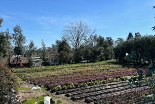 Residential Income,  Bodega avenue, Petaluma, CA 94952 - 54