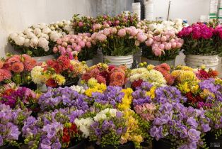 Residential Income,  Bodega avenue, Petaluma, CA 94952 - 23