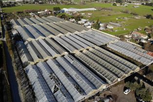 Residential Income,  Bodega avenue, Petaluma, CA 94952 - 44