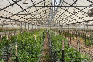 Residential Income,  Bodega avenue, Petaluma, CA 94952 - 43