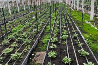 Residential Income,  Bodega avenue, Petaluma, CA 94952 - 48