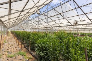 Residential Income,  Bodega avenue, Petaluma, CA 94952 - 33