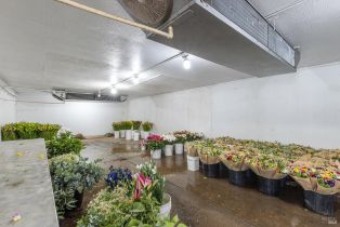 Residential Income,  Bodega avenue, Petaluma, CA 94952 - 27