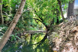 Single Family Residence,  Napa street, Sonoma, CA 95476 - 20