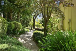 Single Family Residence,  Calle Merlot none, Sonoma, CA 95476 - 54