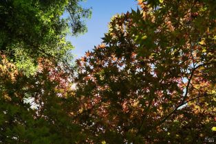 Single Family Residence,  Calle Merlot none, Sonoma, CA 95476 - 56