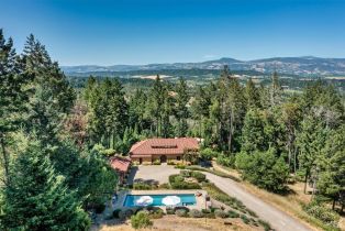Single Family Residence, Dry Creek road, Healdsburg, CA 95448 - 40