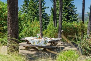 Single Family Residence, Dry Creek road, Healdsburg, CA 95448 - 58