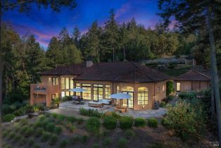 Single Family Residence, Dry Creek road, Healdsburg, CA 95448 - 2