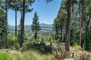 Single Family Residence, Dry Creek road, Healdsburg, CA 95448 - 17