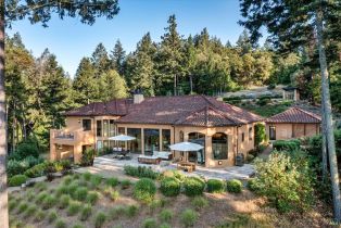 Single Family Residence, Dry Creek road, Healdsburg, CA 95448 - 14