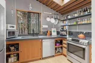 Single Family Residence,  Sea Gate road, Sea Ranch, CA 95497 - 12