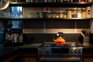 Single Family Residence,  Sea Gate road, Sea Ranch, CA 95497 - 31