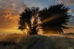 Single Family Residence,  Sea Gate road, Sea Ranch, CA 95497 - 57