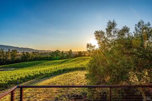 Single Family Residence,  Lakeville highway, Petaluma, CA 94954 - 31