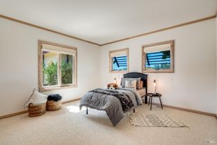 Single Family Residence,  Lakeville highway, Petaluma, CA 94954 - 36