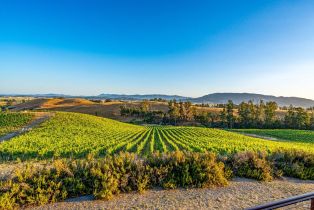 Single Family Residence,  Lakeville highway, Petaluma, CA 94954 - 19