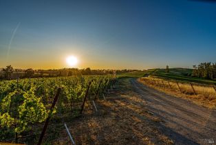 Single Family Residence,  Lakeville highway, Petaluma, CA 94954 - 63