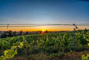 Single Family Residence,  Lakeville highway, Petaluma, CA 94954 - 62