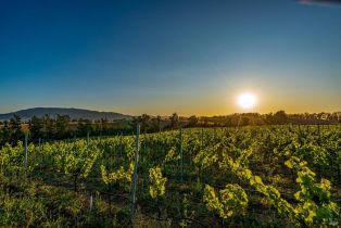 Single Family Residence,  Lakeville highway, Petaluma, CA 94954 - 64