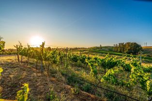 Single Family Residence,  Lakeville highway, Petaluma, CA 94954 - 65