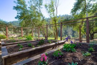 Single Family Residence, Dry Creek road, Napa, CA 94558 - 49