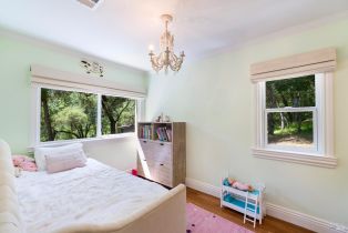 Single Family Residence, Dry Creek road, Napa, CA 94558 - 21