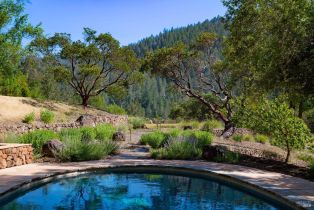 Single Family Residence, Dry Creek road, Napa, CA 94558 - 32