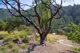 Single Family Residence, Dry Creek road, Napa, CA 94558 - 37