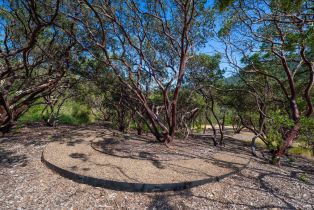 Single Family Residence, Dry Creek road, Napa, CA 94558 - 38