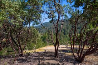 Single Family Residence, Dry Creek road, Napa, CA 94558 - 39