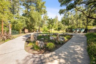 Single Family Residence,  Petrified Forest road, Calistoga, CA 94515 - 59