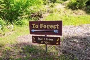 Single Family Residence,  Petrified Forest road, Calistoga, CA 94515 - 60