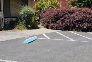 Single Family Residence,  Grove street, Healdsburg, CA 95448 - 8