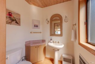 Single Family Residence,  Sea Eagle loop, Bodega Bay, CA 94923 - 47