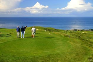 Single Family Residence,  Sea Eagle loop, Bodega Bay, CA 94923 - 55