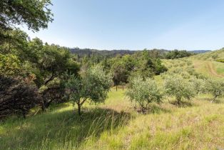 Residential Acreage,  Big Ridge road, Healdsburg, CA 95448 - 28